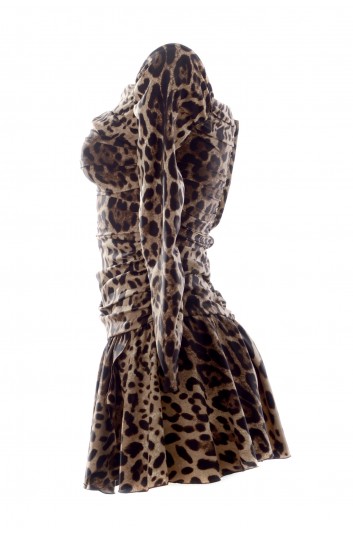 Dolce & Gabbana Women Animal Print Short Dress - F6R8KT FSADD